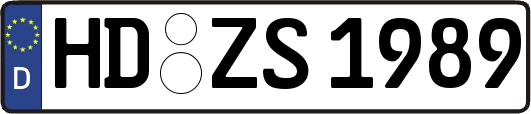 HD-ZS1989