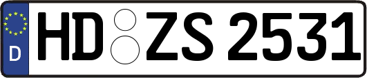 HD-ZS2531