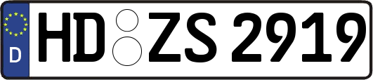 HD-ZS2919