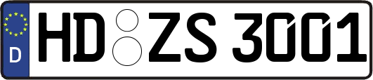 HD-ZS3001