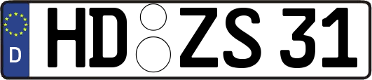 HD-ZS31