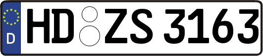 HD-ZS3163