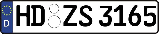 HD-ZS3165