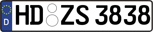 HD-ZS3838