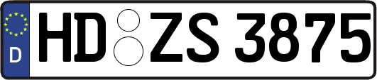HD-ZS3875