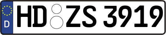 HD-ZS3919