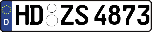 HD-ZS4873