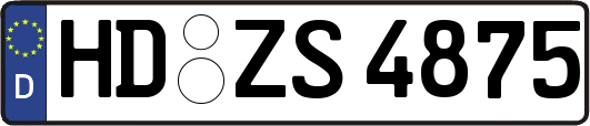 HD-ZS4875