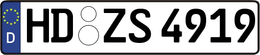 HD-ZS4919