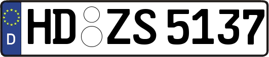 HD-ZS5137