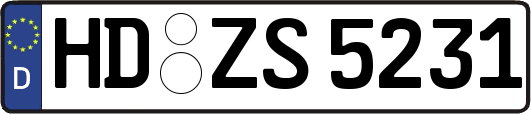 HD-ZS5231