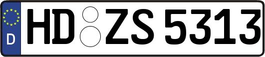HD-ZS5313