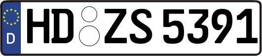 HD-ZS5391