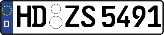 HD-ZS5491