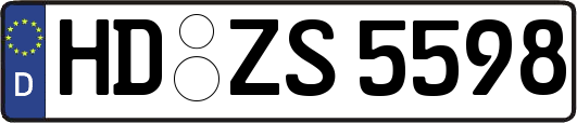 HD-ZS5598