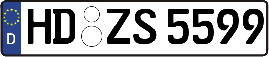 HD-ZS5599