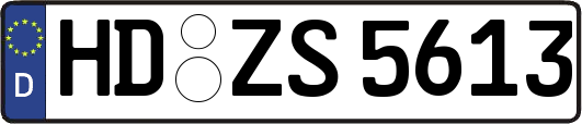 HD-ZS5613