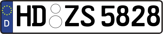 HD-ZS5828