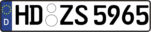 HD-ZS5965