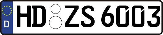 HD-ZS6003