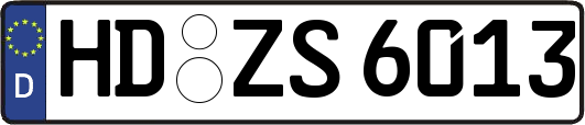 HD-ZS6013