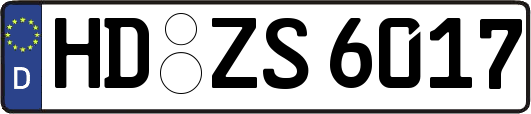 HD-ZS6017