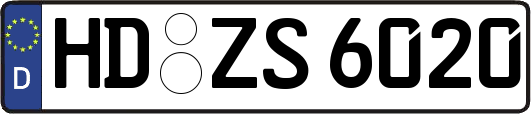 HD-ZS6020