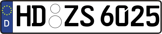 HD-ZS6025