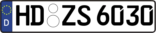 HD-ZS6030