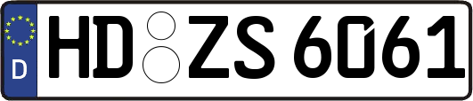 HD-ZS6061