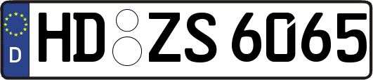 HD-ZS6065