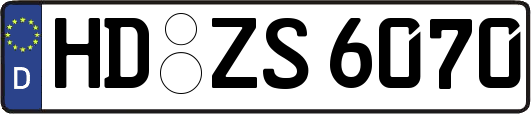 HD-ZS6070