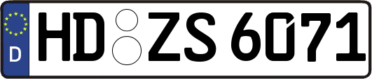 HD-ZS6071