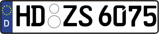 HD-ZS6075