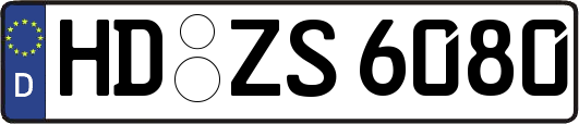 HD-ZS6080