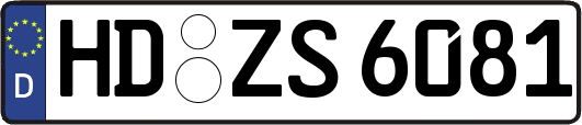 HD-ZS6081