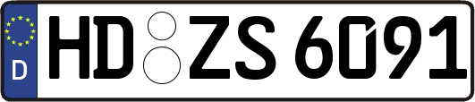 HD-ZS6091