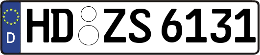 HD-ZS6131