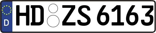 HD-ZS6163