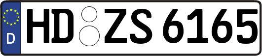 HD-ZS6165