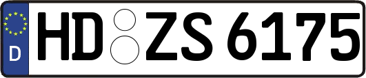 HD-ZS6175