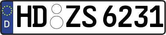 HD-ZS6231