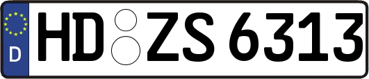 HD-ZS6313