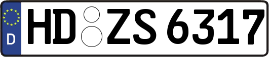 HD-ZS6317