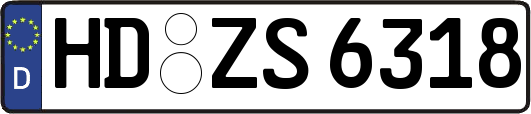 HD-ZS6318