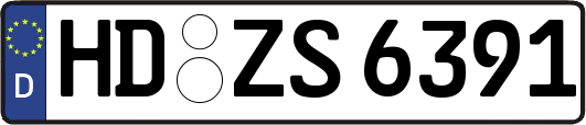 HD-ZS6391