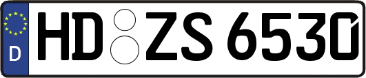 HD-ZS6530