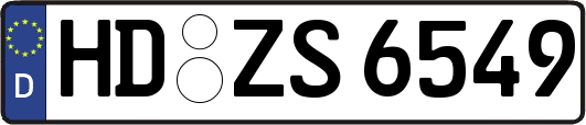 HD-ZS6549