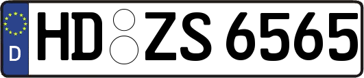 HD-ZS6565