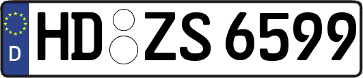 HD-ZS6599
